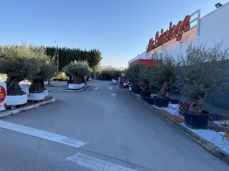 Mr.bricolage Travux Dole 768x576