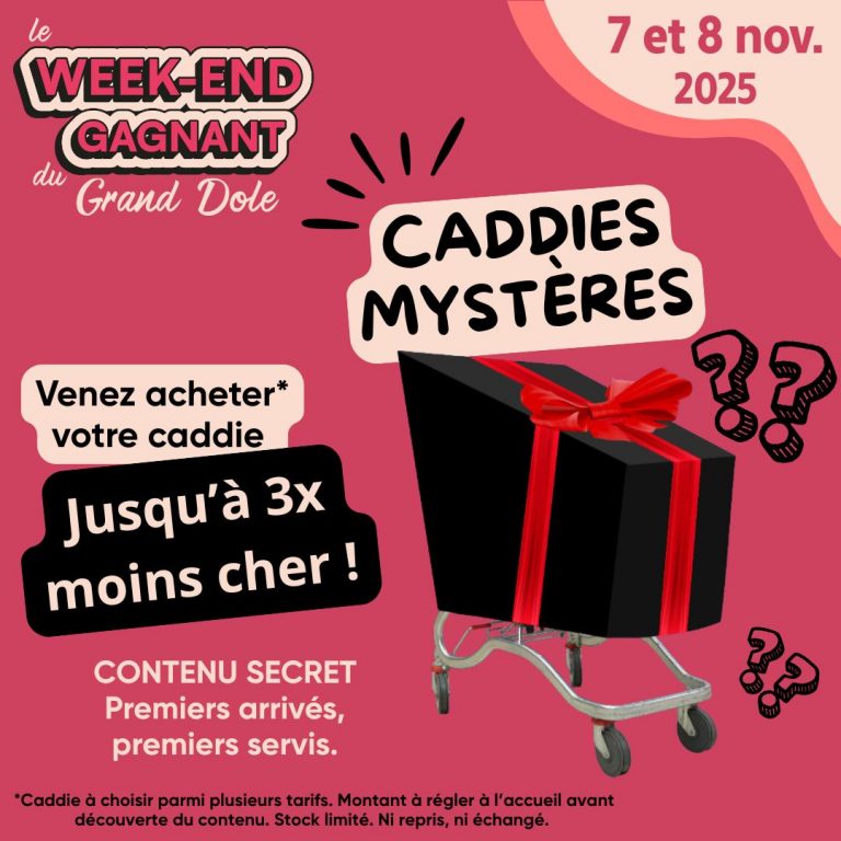 574333799 1487325916730436 5170772889184560880 n 768x768