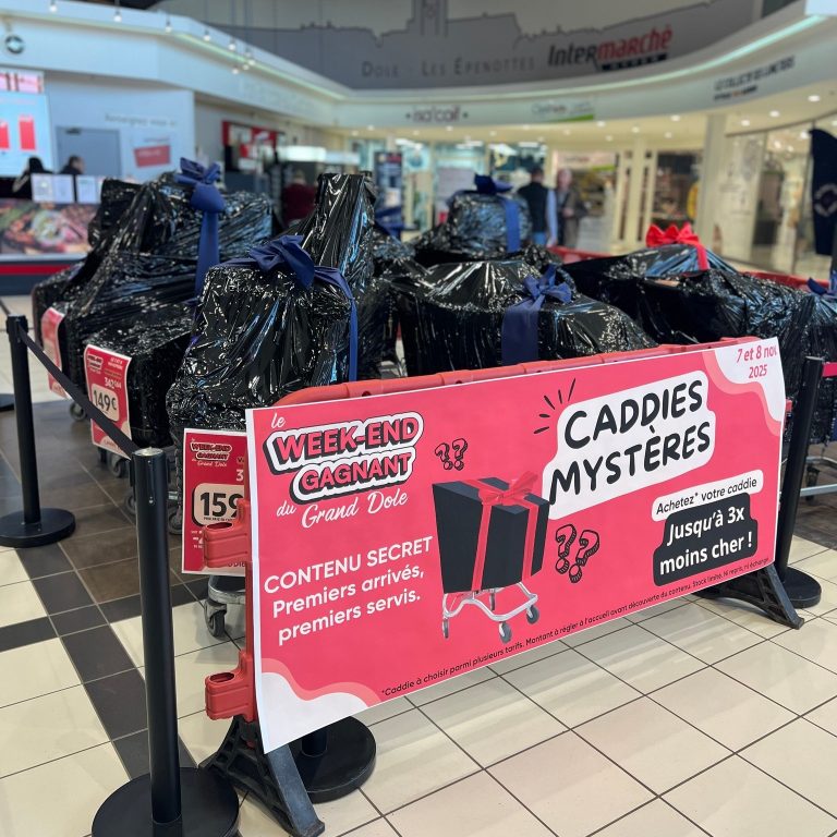 576511300 1491128319683529 1517145223105721538 n 768x768